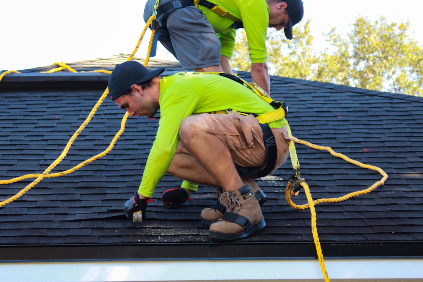 Delaware rooftops